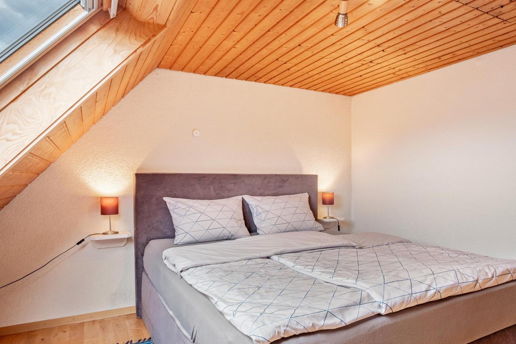 Appartement Lehen Φράιμπουργκ Εξωτερικό φωτογραφία