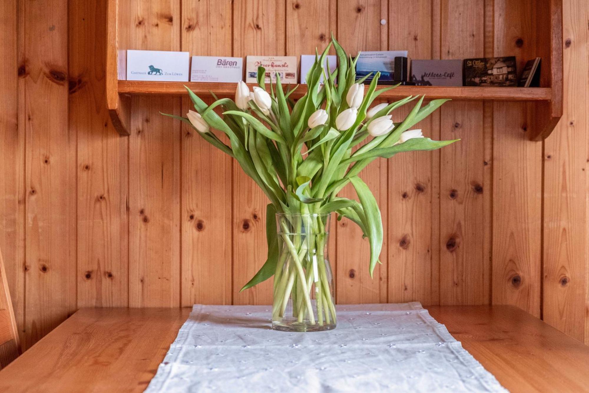 Appartement Lehen Φράιμπουργκ Εξωτερικό φωτογραφία